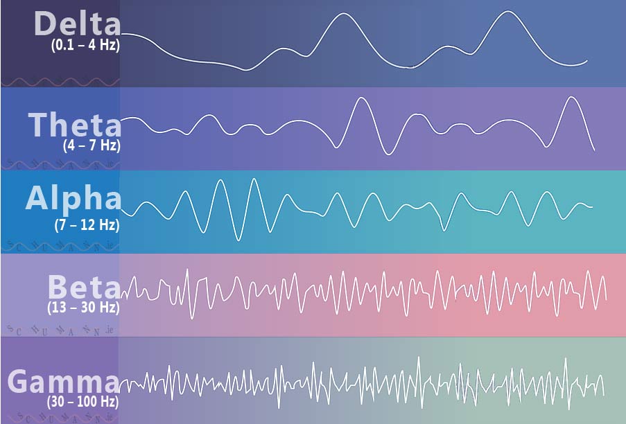 brain waves