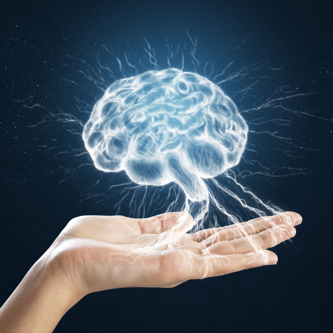 brain