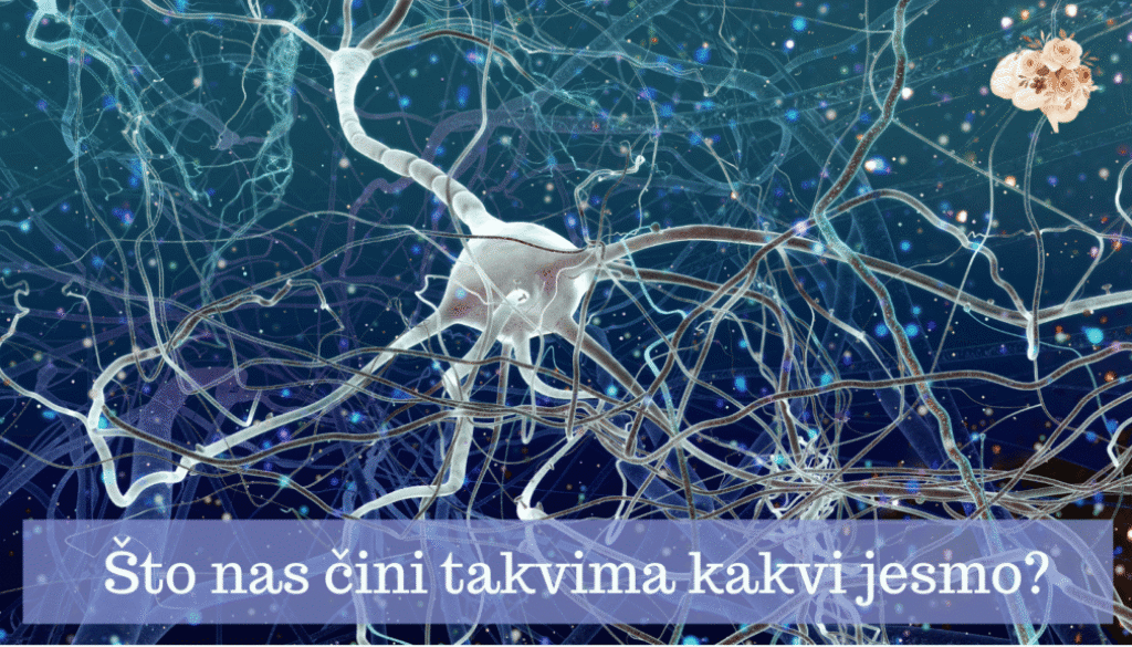 Što nas čini Blog