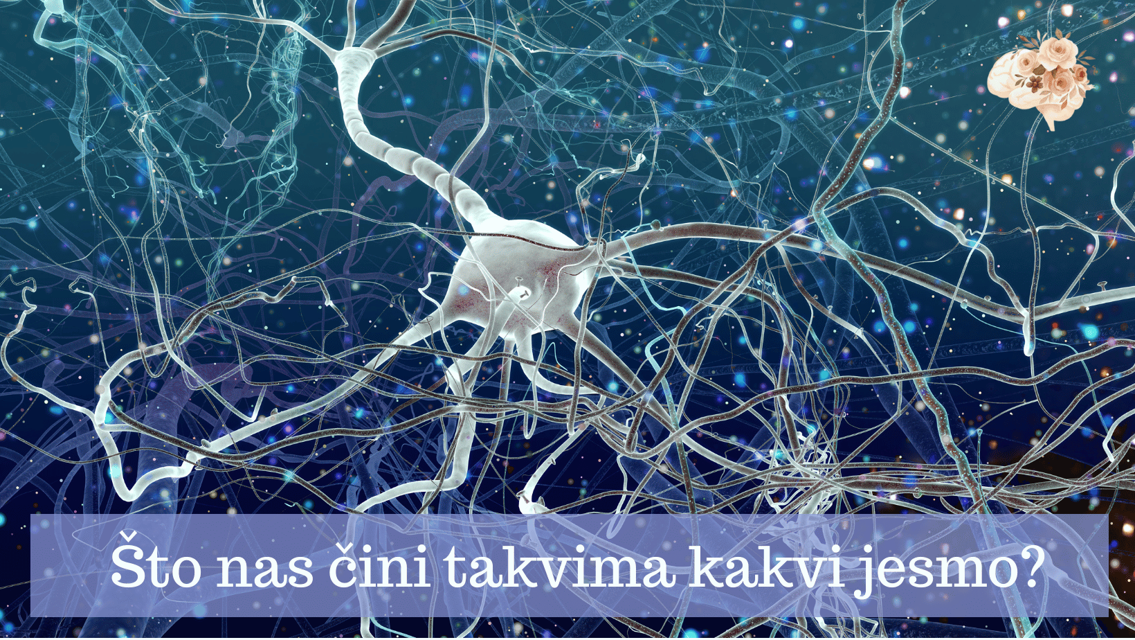Što nas čini Blog
