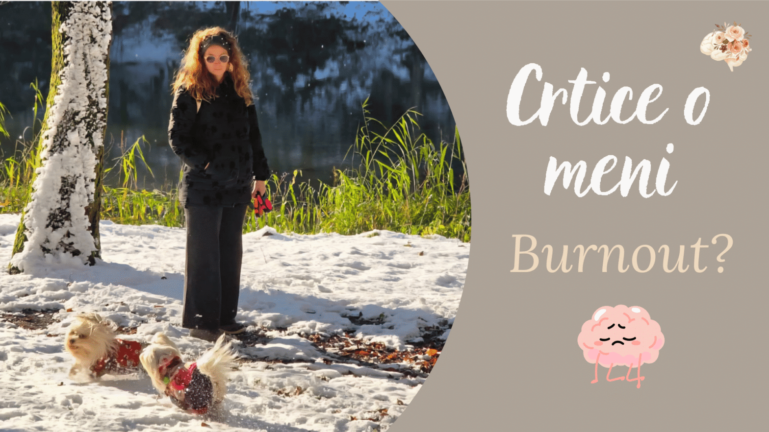 Slika bloga Crtice o meni burnout